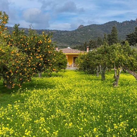 A Charming Country Cottage + Bikes And Kayaks ボーザ エクステリア 写真