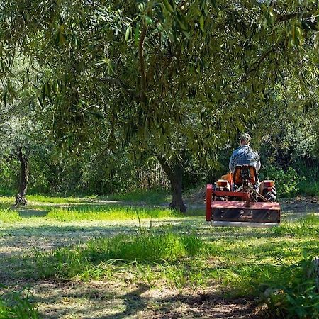 A Charming Country Cottage + Bikes And Kayaks ボーザ エクステリア 写真