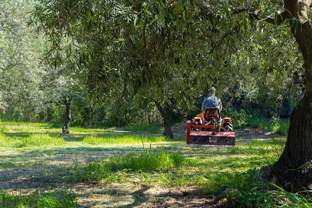 A Charming Country Cottage + Bikes And Kayaks ボーザ エクステリア 写真