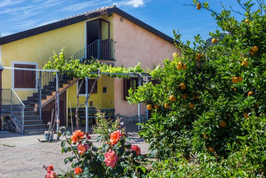 A Charming Country Cottage + Bikes And Kayaks ボーザ エクステリア 写真