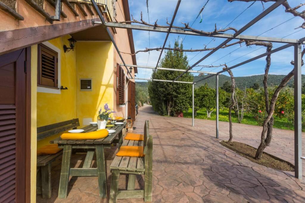 A Charming Country Cottage + Bikes And Kayaks ボーザ エクステリア 写真