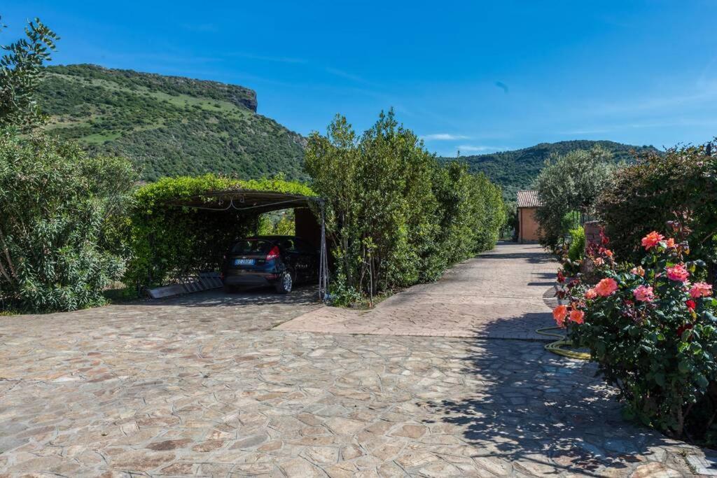 A Charming Country Cottage + Bikes And Kayaks ボーザ エクステリア 写真